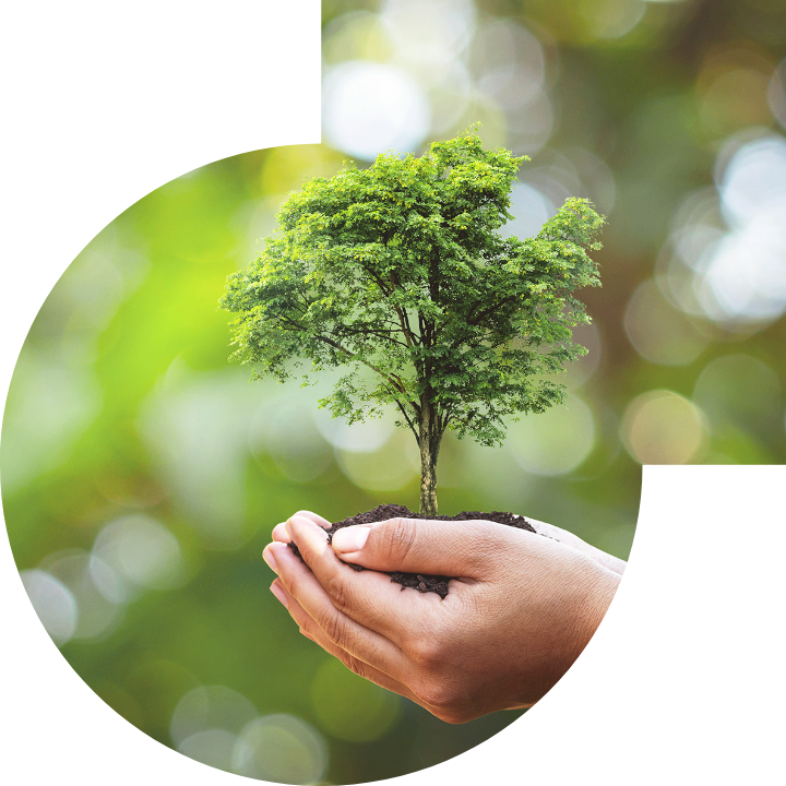 關懷人類、文化、環境與社會